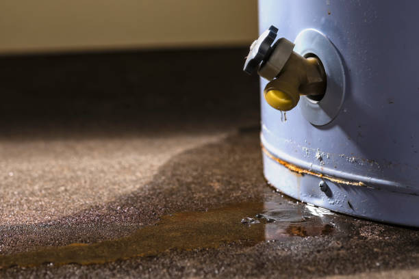 Best Water damage restoration near me  in Harrison, MI