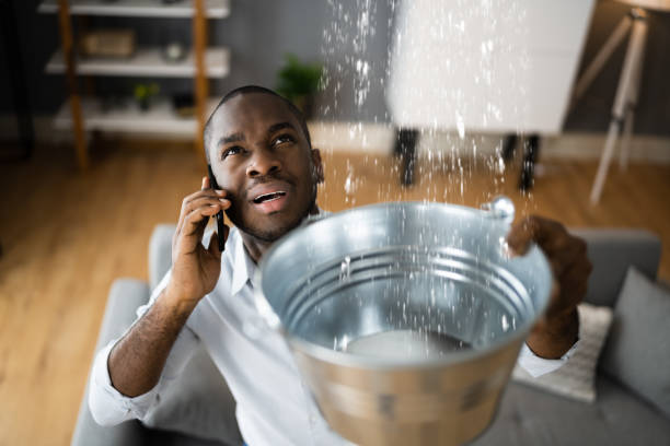 Best Professional water damage repair  in Harrison, MI