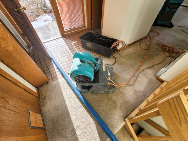 Best Fire Damage Restoration  in Harrison, MI