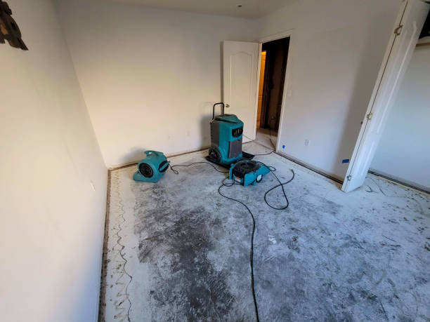 Best Ceiling water damage repair  in Harrison, MI