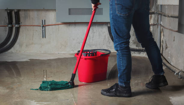 Best Flood restoration services  in Harrison, MI