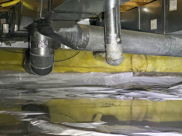 Water damage restoration mold remediation in Harrison, MI