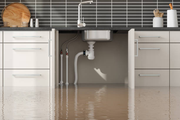 Best Local water damage restoration  in Harrison, MI
