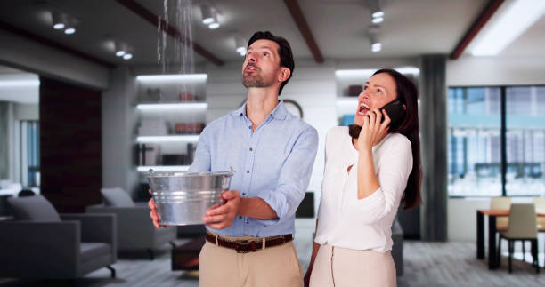 Best Residential water damage restoration  in Harrison, MI