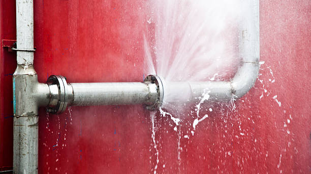 Best Carpet water damage restoration  in Harrison, MI